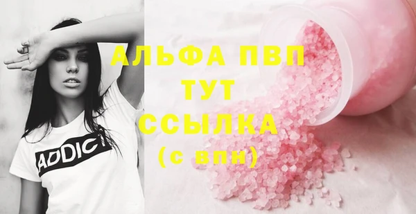 твердый Михайлов