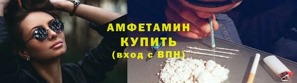 прущие грибы Михайловск