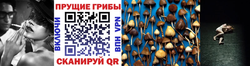 Псилоцибиновые грибы мицелий  закладки  Калачинск 